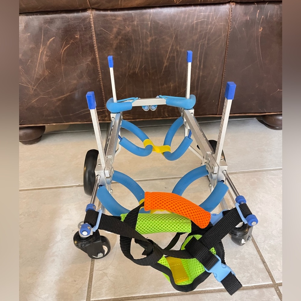 Small Wheel chair for small dog.